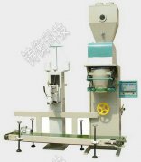 <b>�����������b����α��B</b>